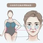 image__body-and-face-diagram–zh